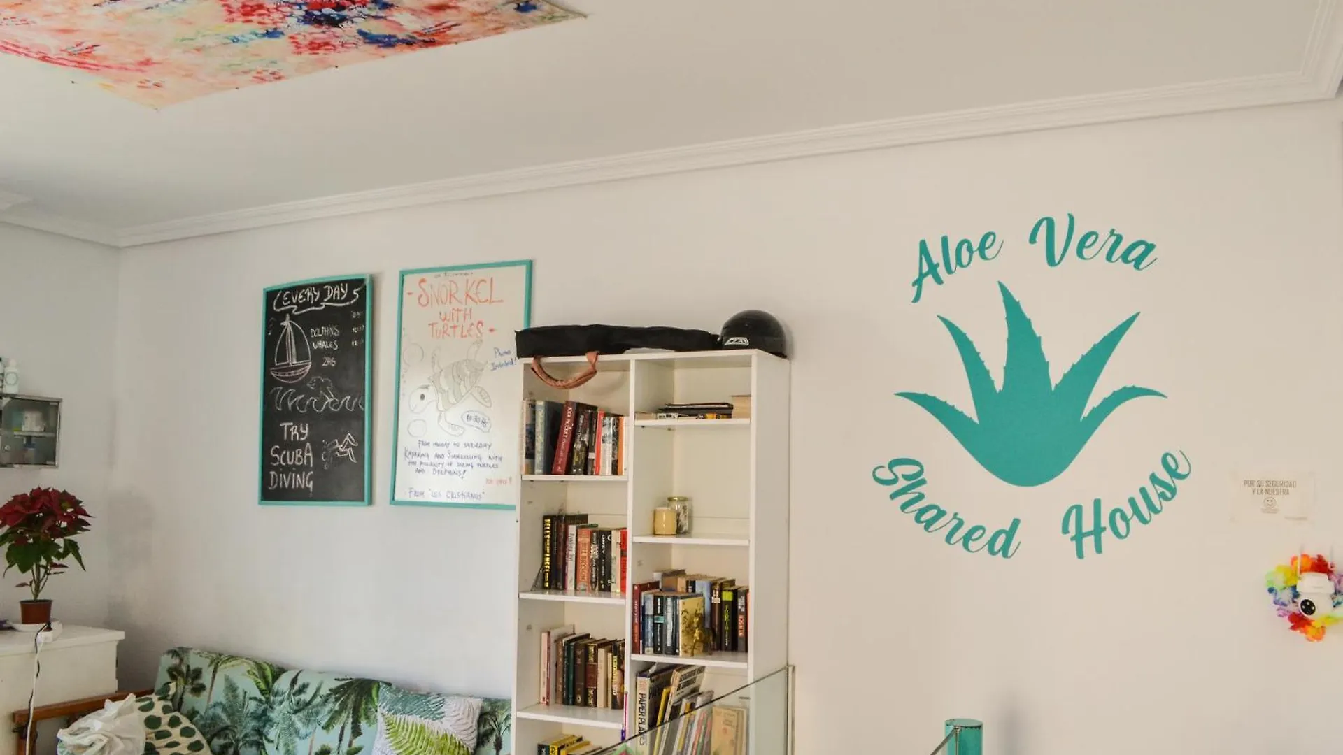 Aloe Vera Shared House El Medano  Hostel