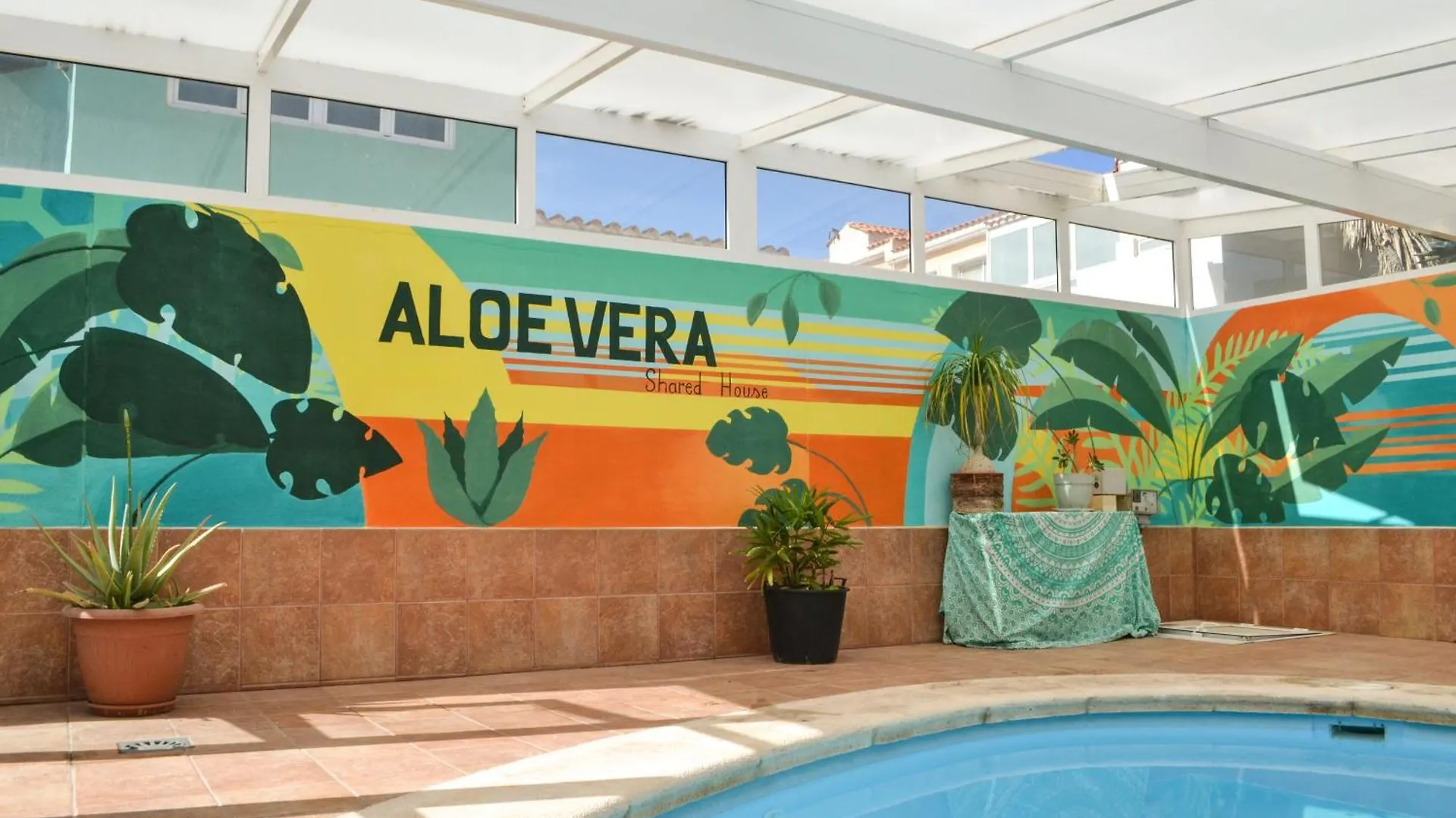 Aloe Vera Shared House El Medano  El Medano (Tenerife)