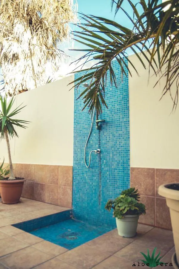 Aloe Vera Shared House El Medano